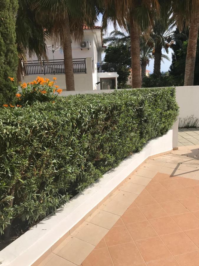 Mediterranean Dream فوروكليني المظهر الخارجي الصورة